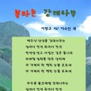 빛고을99 이미지