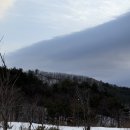 로얄펫 | 라마다호텔 스위트 평창 펫룸 로얄 스위트 내돈내산 후기, 임산부 애견동반여행