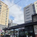 제주베네치아호텔 | 제주 올레시장 맛집 한식 탐라한상 고등어조림식사후기(밑반찬과 곁들임 음식이 진짜 최고네요)