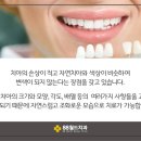 88월드치과의원 네이버블로그