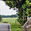 성돌목장 이미지