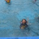 동아대 한울 태권도 이미지