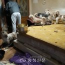 유천1동 행정복지센터 이미지