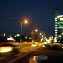 코스모스공원 이미지