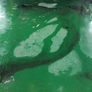 카이샵셀프세차장 이미지