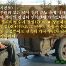 노아의방주 이미지
