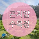 장지마을 | 곤지암 수목장 위치와 접근성, 서울에서 30분이면 닿는 장지