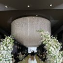 (주)스카이바이오사이언스 | W01. 웨딩홀 예약 후기(센텀사이언스파크 / 센사파 / 더라움홀 / 더하우스홀 / 더스카이홀) 26.01 방문