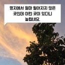 포크인차콜 | 부산 강서구 분위기 맛집, 석양이 아름다운 포크인차콜 한돈전문점