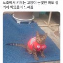 2025년 2월의 일기(2/2)