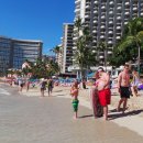 와이키키 이미지