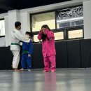 태전 유도 멀티짐 이미지