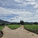 조은날부동산공인중개사사무소 이미지