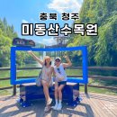 청주 가을 가볼만한곳 미원 미동산수목원 입장료 산책하기좋은곳