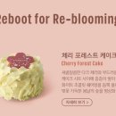 미드나잇포레스트 이미지
