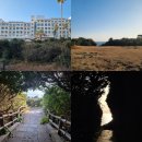 제주 올레길 5코스 | 제주도 서귀포 가볼만한곳 제주 올레길 5코스 큰엉해안경승지 한반도 포토존