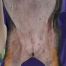 해운대플러스동물병원 이미지