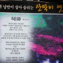 중앙지구대 이미지