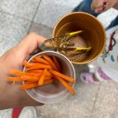 대전 보문산 아이랑 갈볼만한 곳 대전아쿠아리움 동물먹이주기 체험 후기