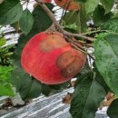 울산광역시 농업기술센터 이미지