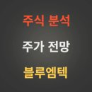 (주)엠텍헬스케어 | 블루엠텍 주가 전망 분석 (5월1주)