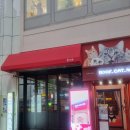 명동리아한의원 | 이태원피부과 편평사마귀제거 내돈내산후기