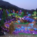 별빛정원B 이미지