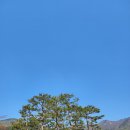 은덕농장 | 고창 선운사 도솔천을 따라 걷고 싶었다.