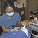 수미치과의원 이미지