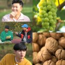 장날 이미지