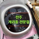 새한메디칼 | 게리종 - 전주 뷰티플라이프