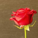 니가 참 좋아 이미지