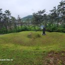 쌍용을 창립한 김성곤 회장 지묘 이미지