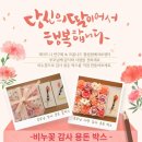 재미드니연구소