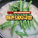 신안동돼지국밥 | 진주 신안동 밥집 해촌돼지국밥 깔끔한 국물, 혼밥하기 좋은 진주 교대 근처 한식집