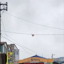 시장통임여사칼국수 | 봉동맛집 시장에 자리잡은 시장통임여사국수집 수제비한그릇 했습니다.