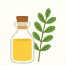 그린클린 이미지