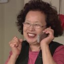 무늬카레 이미지