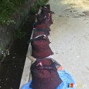 진생농장 이미지