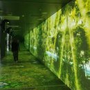 아이아트안경 이미지