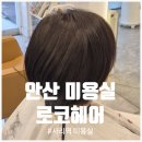로코헤어 - 노원구 | 안산미용실 로코헤어에서 상한 머리 정리하고 기분 전환 성공!