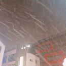 수세차카페 이미지