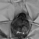 부산종합동물병원 이미지