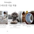 현대종합렌탈 네이버블로그