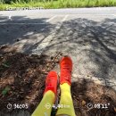 원주굽이길 15코스 싸리치옛길 | 🏃‍♂️ Day 5 (8/22) [단양 달빛마라톤 10km 훈련일지] 🌄 싸리치 옛길 – 업힐 숨이 가쁘지만 마음은 단단하게