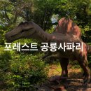 수룡농장 | 제주 포레스트 공룡사파리 : 동물 먹이주기, 키즈카페, 공룡탐험미션