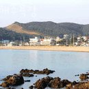 태안갯벌체험 방포해수욕장 태안조개잡이펜션 맛조개잡는곳 포인트