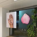 한강진역 이미지