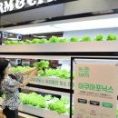 신선슈퍼 네이버블로그