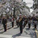해병대 군악ㆍ의장대, 2017 진해군항제 군악의장페스티벌 참가!﻿ 이미지